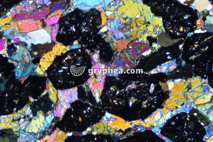 Eclogite LPA x6,3 - gryphea.org